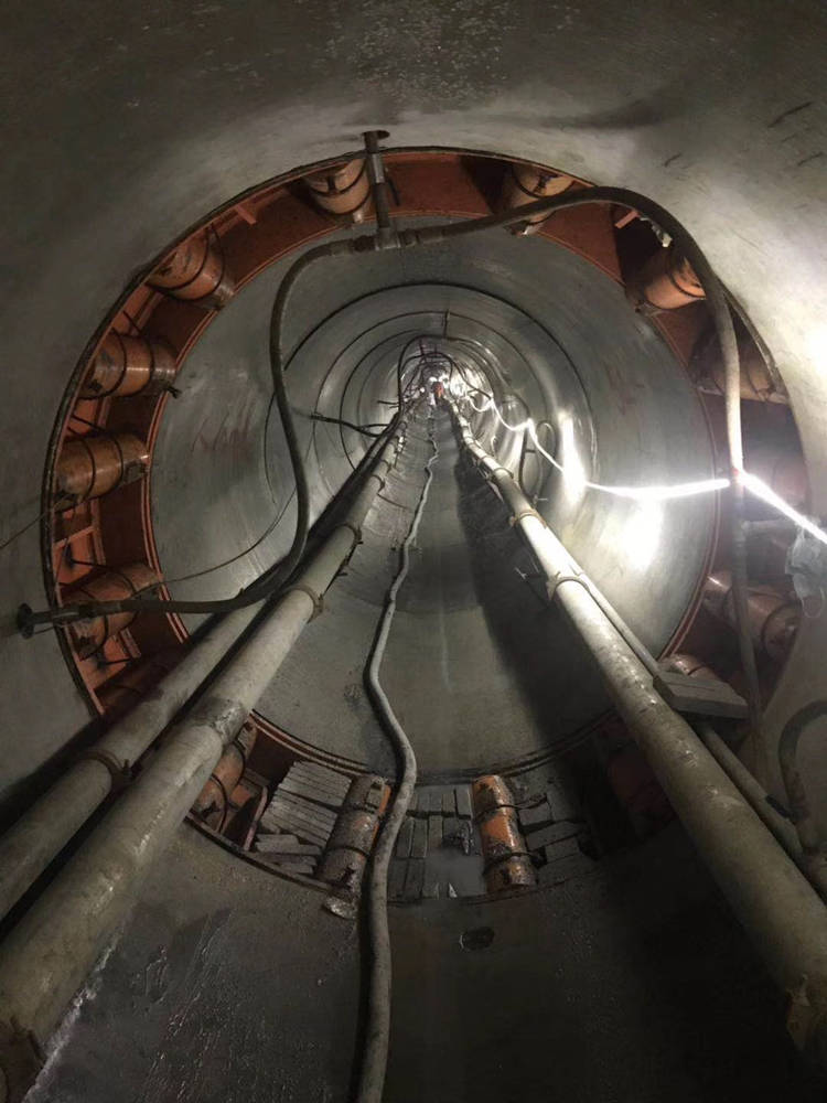 105117709.jpg 图片3.jpg